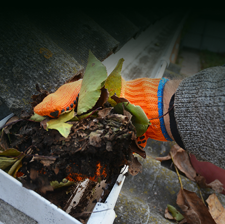 Roof Cleaning
